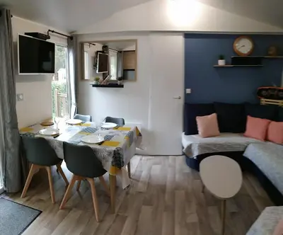 Coin salon dans l'établissement MOBILHOME - 6 personnes - 40 m2