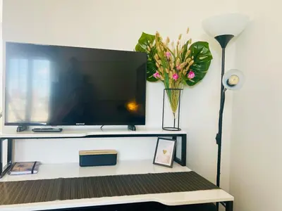 Télévision ou salle de divertissement dans l'établissement T1 cosy bien équipé, wifi, centre d'Angers avec Vayny