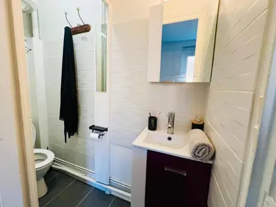 Salle de bains dans l'établissement T1 cosy bien équipé, wifi, centre d'Angers avec Vayny