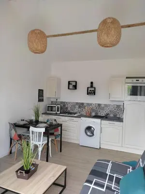 Cuisine ou kitchenette dans l'établissement bienvenue chez vous logement 4 personnes