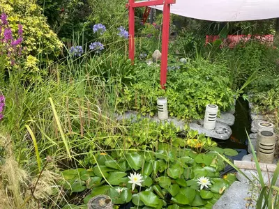 Jardin de l'établissement Domus26 chambre Meridional