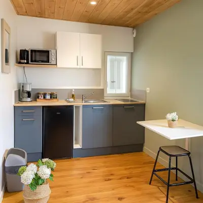 Cuisine ou kitchenette dans l'établissement Studio moderne, cosy & lumineux Chez Suzanne