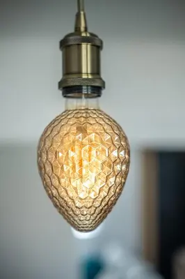 Plan de l'établissement L'S-Kal-56, design et cosy !