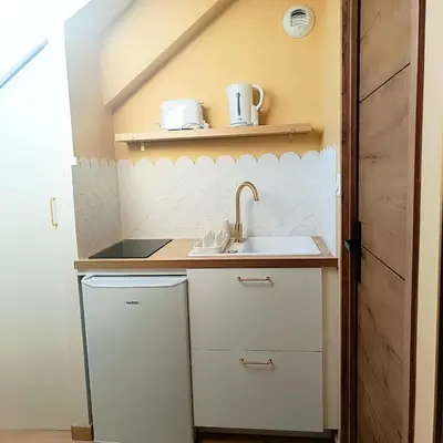 Cuisine ou kitchenette dans l'établissement Le Rachel