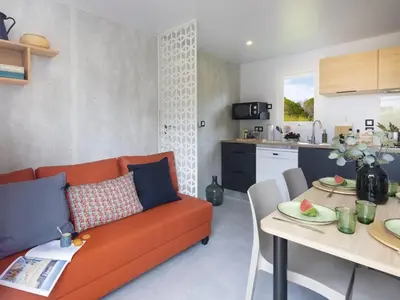 Cuisine ou kitchenette dans l'établissement Mobil home avec Terrasse à Saint-Jean-de-Monts - API-1-52-1175