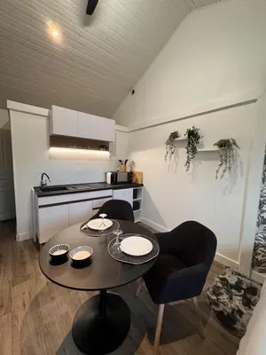 Cuisine ou kitchenette dans l'établissement Appartement - Les Herbiers, France