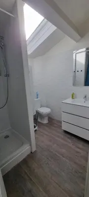 Salle de bains dans l'établissement Maison proche Grand Parc 2 Chambres