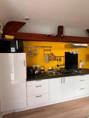 Cuisine ou kitchenette dans l'établissement Studio 61
