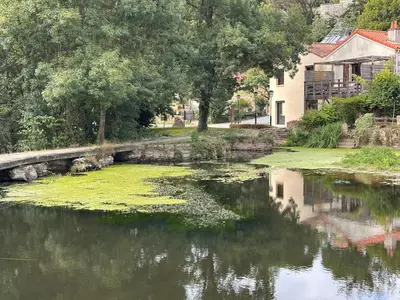 Vue sur la rivière ou le fleuve situé(e) à proximité de la maison de vacances
