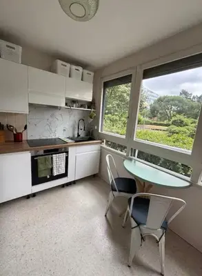 Cuisine ou kitchenette dans l'établissement Nice Apartment - Terrace Loire view - Nantes city center island