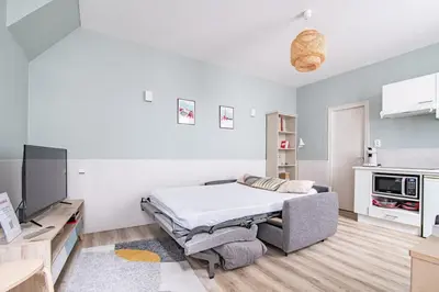 Télévision ou salle de divertissement dans l'établissement L'Orangerie, centrale et cosy près du Puy dufou