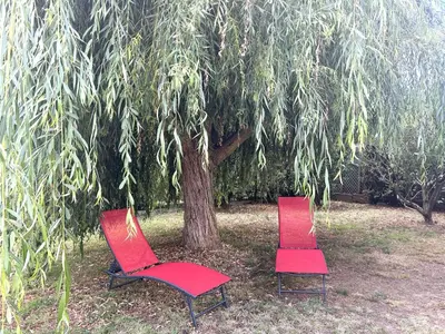 Jardin de l'établissement HI000-C24 Mais 5 pièces 8 couchages SAINT HILAIRE DE RIEZ