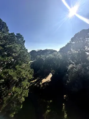 Paysage naturel près de l'appartement