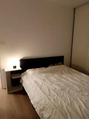 Un ou plusieurs lits dans un hébergement de l'établissement Maison et studio 12 personnes 12 kilomètres du parc du puy du f