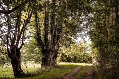 Plan de l'établissement Gîte du Puy Charrier, Proche Puy duFou, Classé 3 étoiles, Plan d'eau privé