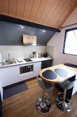 Cuisine ou kitchenette dans l'établissement Le Chalet - Résidence Chez Gally à Angers
