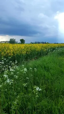 Paysage naturel près de la maison de vacances