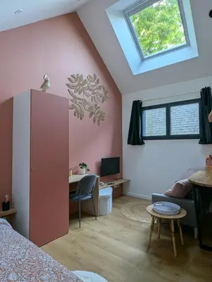 Télévision ou salle de divertissement dans l'établissement La Suite - Résidence Chez Gally à Angers
