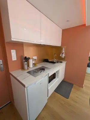 Cuisine ou kitchenette dans l'établissement La Suite - Résidence Chez Gally à Angers