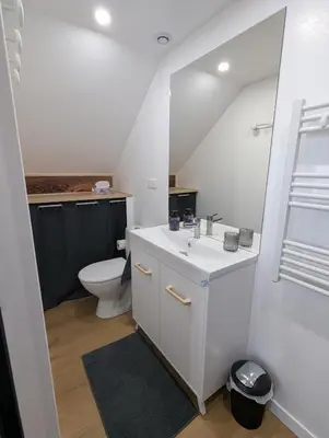 Salle de bains dans l'établissement Le Loft - Résidence Chez Gally à Angers
