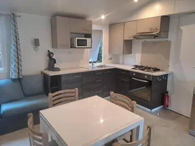 Cuisine ou kitchenette dans l'établissement Mobil-Home Siblu Bois Dormant 703