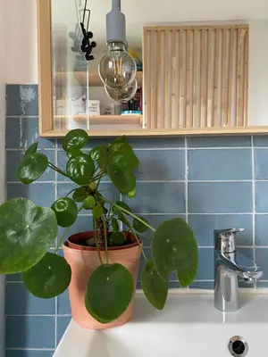 Plan de l'établissement Maison en Campagne nantaise