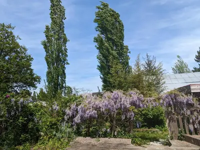 Jardin de l'établissement Ecolodge au jardins de Koantiz