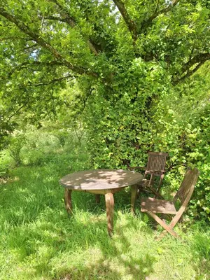 Jardin de l'établissement Ecolodge au jardins de Koantiz
