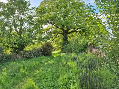 Jardin de l'établissement Ecolodge au jardins de Koantiz