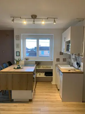 Cuisine ou kitchenette dans l'établissement Appartement T2 cosy aux portes de Nantes
