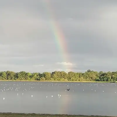 Au bord du lac Vioreau 44