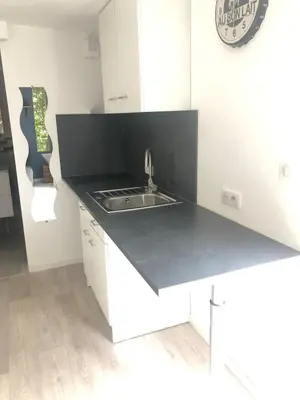 Cuisine ou kitchenette dans l'établissement Studio en fond de jardin