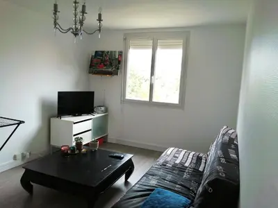 Télévision ou salle de divertissement dans l'établissement APPART T4 ANGERS Centre