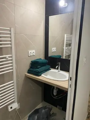 Salle de bains dans l'établissement Appartement Le Pellerin 2ch et 2sdb