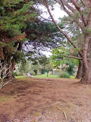 Jardin de l'établissement Le jardin de Jade