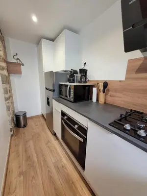Cuisine ou kitchenette dans l'établissement Les Crins au Bord du Lac