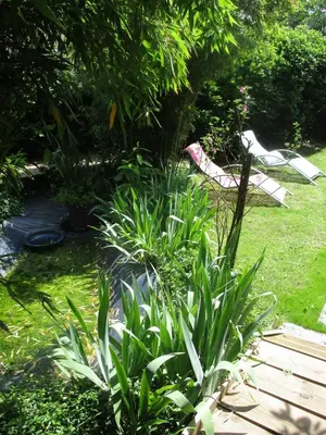 Jardin de l'établissement Studio aux portes d'Angers