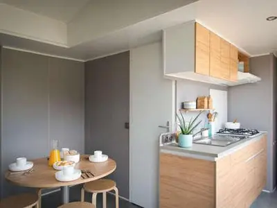 Cuisine ou kitchenette dans l'établissement Mobil-home avec terrasse - 3 chambres, 6 personnes - API-1-52-1452