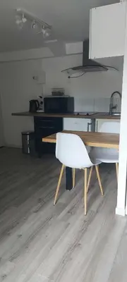 Cuisine ou kitchenette dans l'établissement Studio cosy