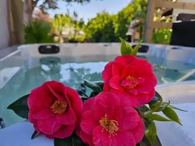 Piscine de l'établissement Villa 11 pers 4CH - Jacuzzi - Le Cormier ou située à proximité