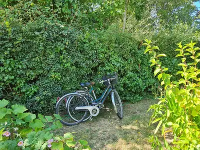 Jardin de l'établissement Maison de charme, Grand jardin, 3km plages, WiFi