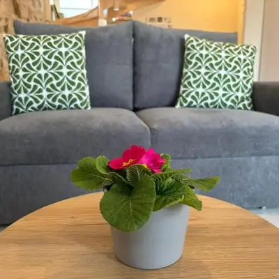 Charmant Gîte Vendéen avec Jardin - 6 Pers. - FR-1-426-605