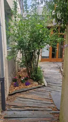 Jardin de l'établissement Les Pénates de Loire
