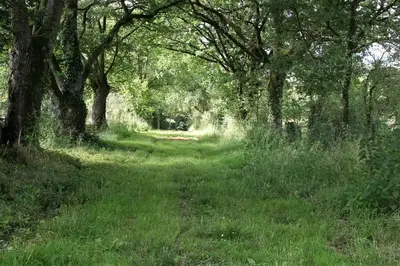 Paysage naturel près de la maison d'hôtes
