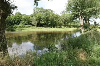 Paysage naturel près de la maison d'hôtes