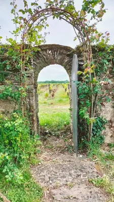 Jardin de l'établissement Near Nantes House in vineyards with Pool