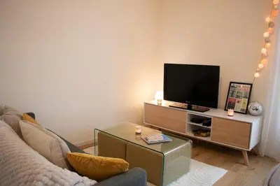 Télévision ou salle de divertissement dans l'établissement Cozy Apartment Nantes Polyclinic Zenith