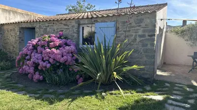 Jardin de l'établissement NO000-37P Mais 2 pièces - 2 couchages NOIRMOUTIER EN L'ILE