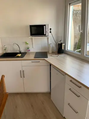 Cuisine ou kitchenette dans l'établissement studio cosy proche de l ocean