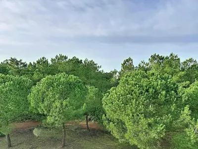 Paysage naturel près de l'appartement